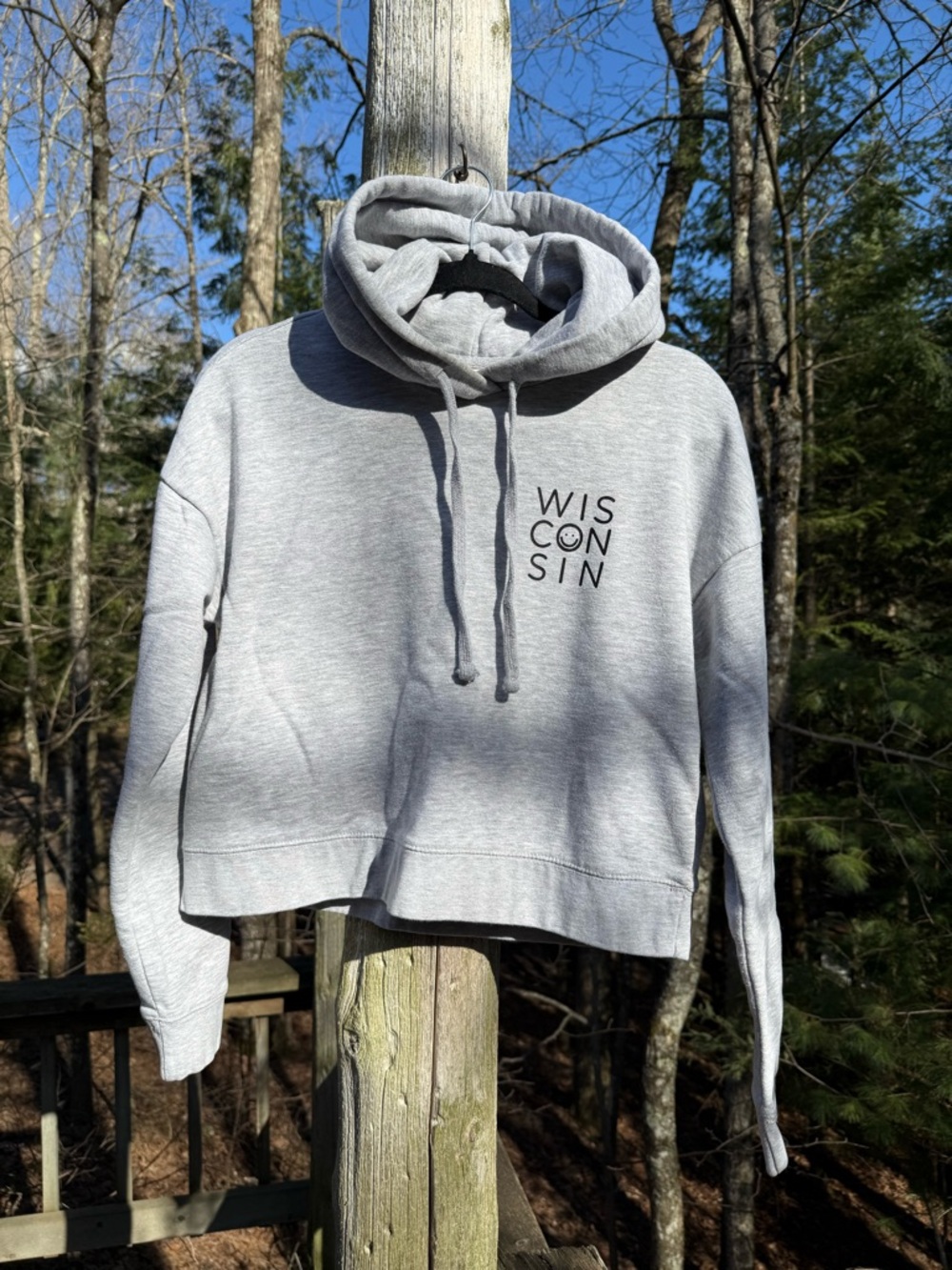 Gray "WISCONSIN" Crop Pullover Hoodie